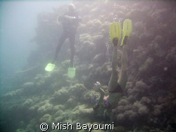 a very pleasant safety stop by Mish Bayoumi 